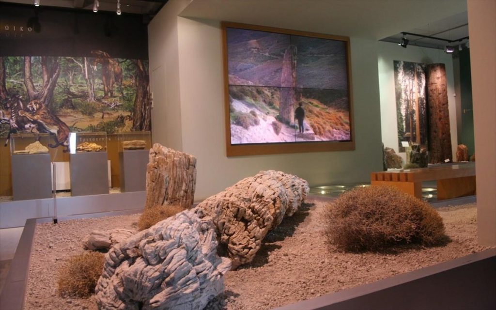 Μουσείο απολιθωμένου δάσους, Λέσβος