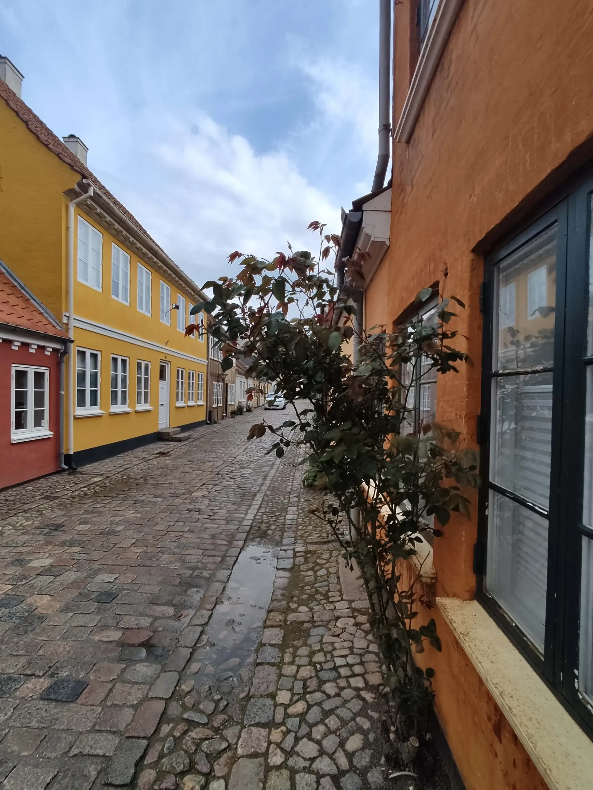Ανακαλύπτοντας το Odense: Από τα Παραμύθια στις Περιπέτειες των Βίκινγκς