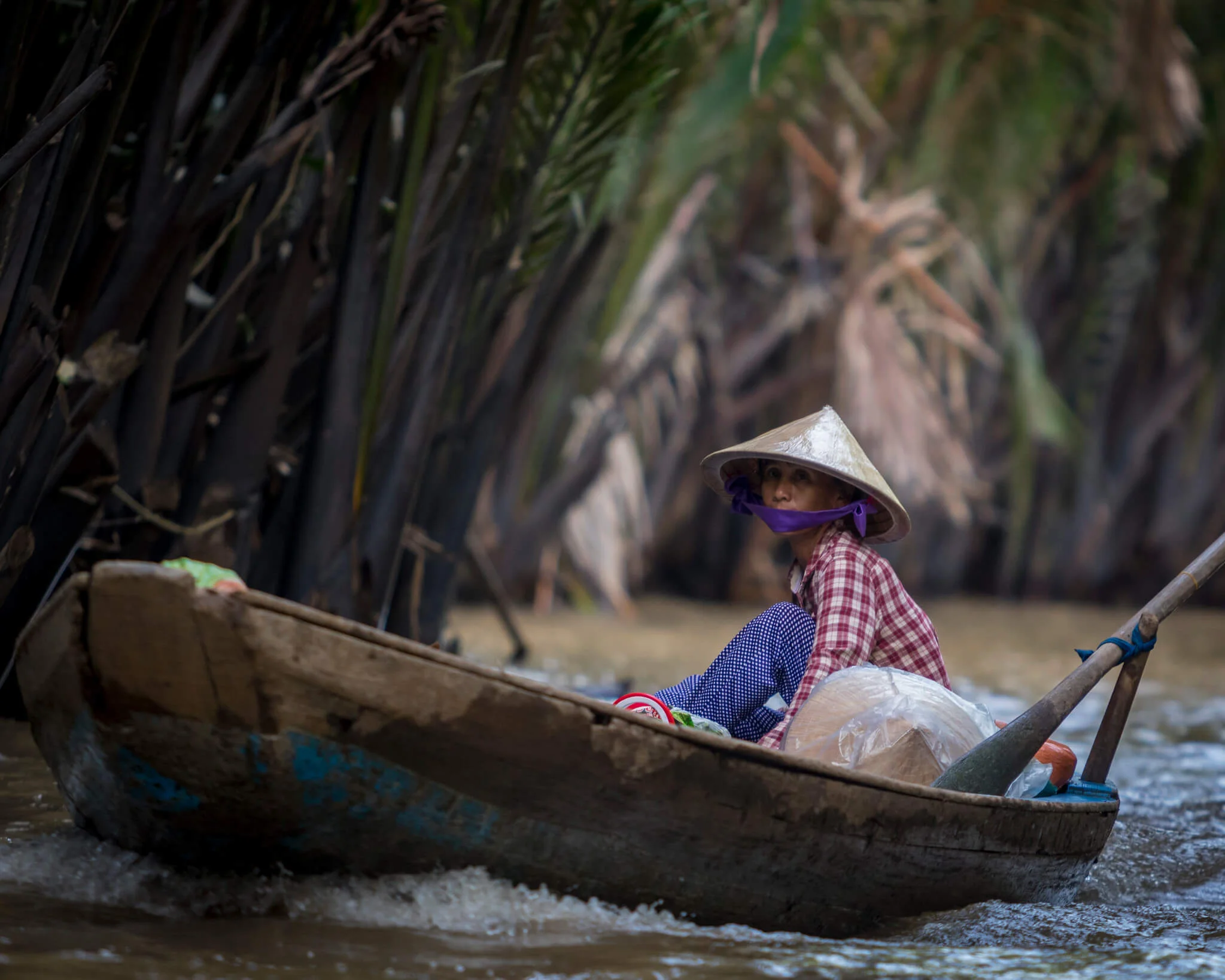 Νότιο Βιετνάμ: Οδηγός Ταξιδιού για Ho Chi Minh, Δέλτα Μεκόνγκ και Παραλιακά Στολίδια – Αξιοθέατα, Γεύσεις και Εμπειρίες